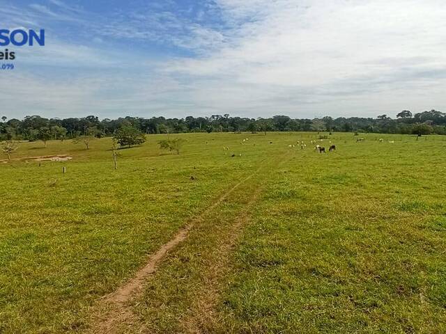 Fazenda para Venda em Porto Velho - 5