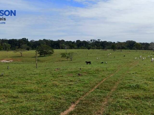 Fazenda para Venda em Porto Velho - 4