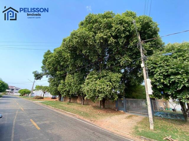 #107 - Terreno para Venda em Alta Floresta - MT - 2