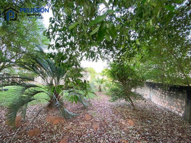 Terreno para Venda em Alta Floresta - 5