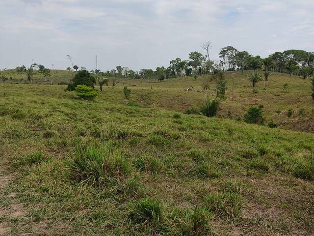 #108 - Sítio para Venda em Sena Madureira - AC - 3