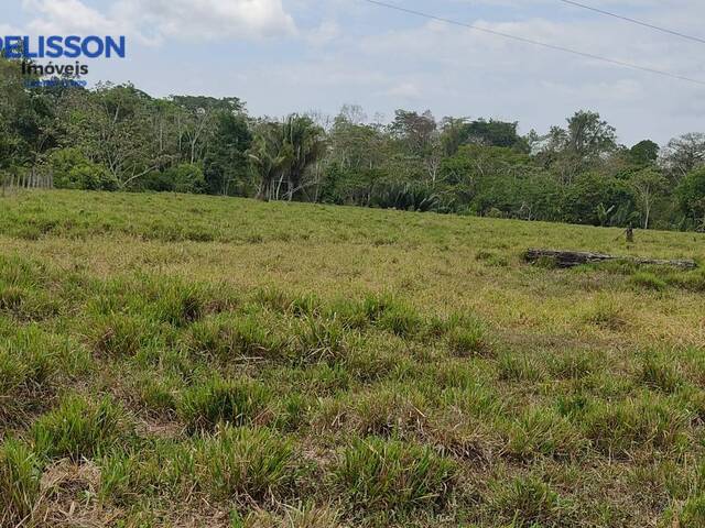 Sítio para Venda em Sena Madureira - 4