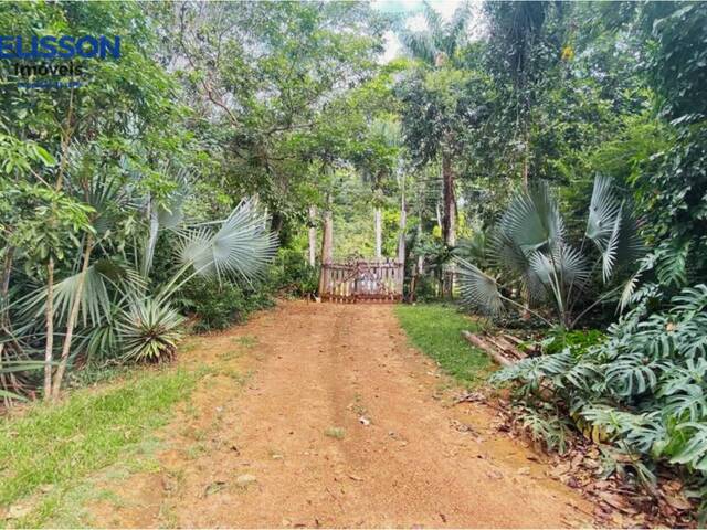 Terreno para Venda em Alta Floresta - 5