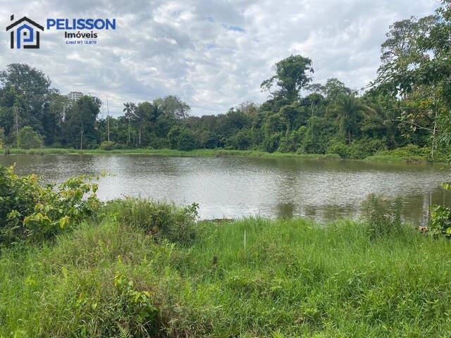 Terreno para Venda em Alta Floresta - 4