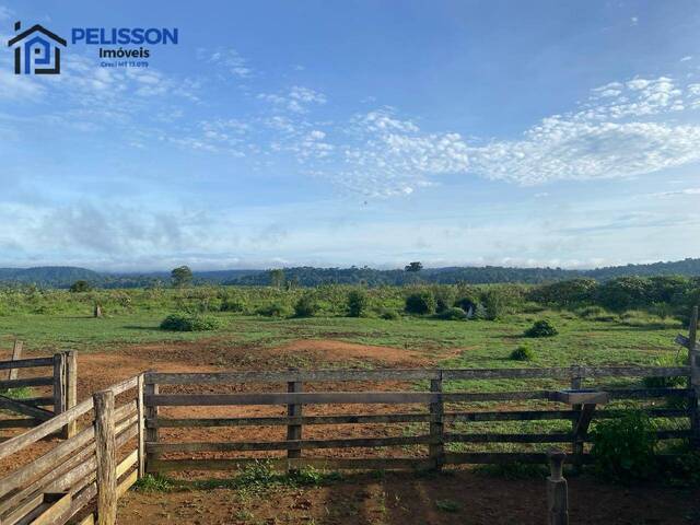 Fazenda para Venda em Paranaíta - 4