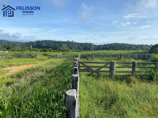 Fazenda para Venda em Paranaíta - 5