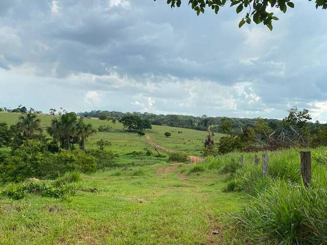 #133 - Sítio para Venda em Alta Floresta - MT - 2