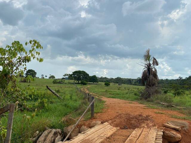 Sítio para Venda em Alta Floresta - 4