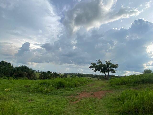 #133 - Sítio para Venda em Alta Floresta - MT - 3