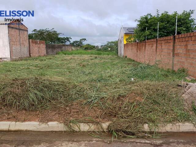 Terreno para Venda em Alta Floresta - 5