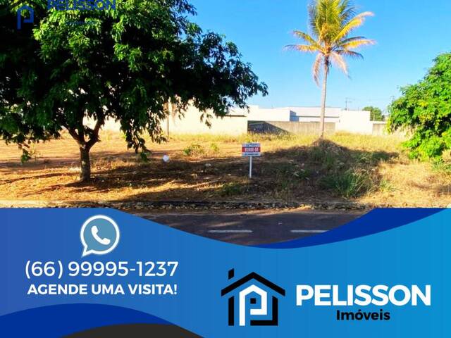 Venda em Almeida Prado - Alta Floresta