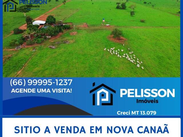 #139 - Sítio para Venda em Nova Canaã do Norte - MT - 1