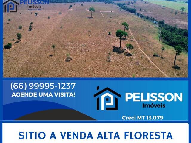 #142 - Sítio para Venda em Alta Floresta - MT - 1