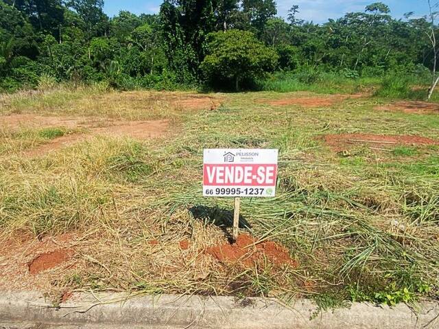 #146 - Terreno para Venda em Alta Floresta - MT